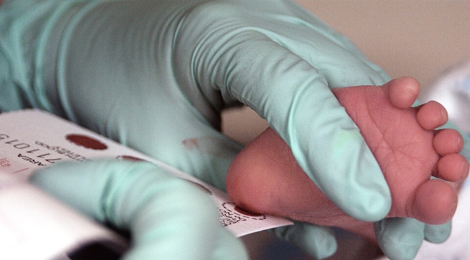 Phenylketonuria neonatal screening blood spot card